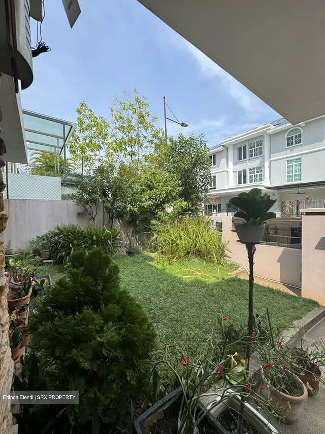 Kew Drive (D16), Terrace #566529251